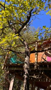 Φωτογραφία από το άλμπουμ του Cabane & Dîner Gourmet Inclus σε Barjols