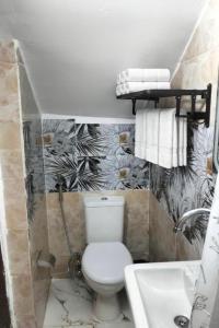a bathroom with a toilet and a sink at Wonji house in Abu Simbel