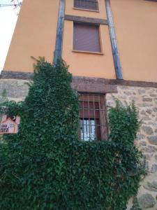 un edificio con l'edera che cresce sul lato di Más Quimera a Gilgarcía