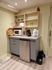Una cocina con una encimera con un microondas encima. en Jeanmyr, en Sainte-Marie-aux-Mines