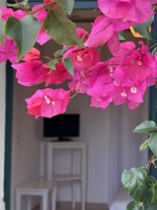 een bos roze bloemen voor een tv bij La Carcara in Otranto