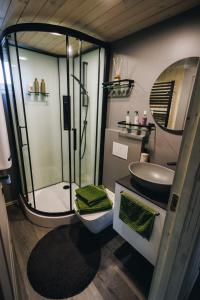 a bathroom with a shower and a sink at Holiday cabin 'OAK' in Salacgrīva