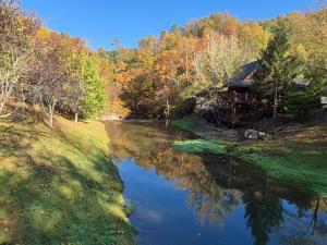 uma casa ao lado de um rio com árvores em The Reservation- On the River em Cove Creek Cascades