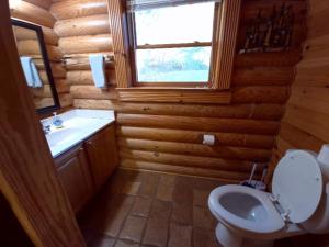 um banheiro com vaso sanitário, pia e janela em The Reservation- On the River em Cove Creek Cascades mais 37 fotografias