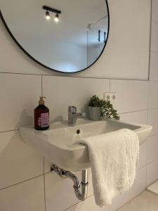 a white sink in a bathroom with a mirror at Premium-Apartment, 4 Betten, Nahe Ulm für Familien und Gruppen,Hund in Blaustein