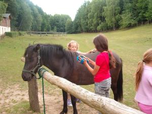 two girls are petting a brown horse in a field at Thomsdorf Sommerland in Thomsdorf