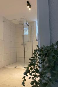 a shower in a bathroom with a plant in the foreground at Premium-Apartment, 4 Betten, Nahe Ulm für Familien und Gruppen,Hund in Blaustein