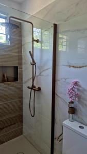 a shower in a bathroom with white marble walls at Vi la dous Kreyol in Sainte-Rose