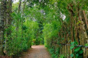 een pad door een bamboebos met een hek bij Nadi Villa Midigama in Midigama East