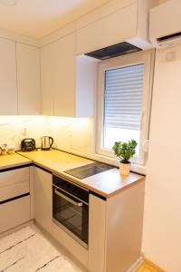 Kuchyň nebo kuchyňský kout v ubytování APARTMAN ANASTASIJA i DANKA