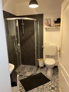 a bathroom with a shower with a toilet and a sink at Kleine Auszeit - Urlaub auf dem Bauernhof in Immenstedt +23 photos