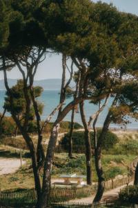 Le Domaine de la mer - Beach hotel Nature&Authenticité Hyères في هييريس: مجموعة من الأشجار مع المحيط في الخلفية