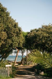 Le Domaine de la mer - Beach hotel Nature&Authenticité Hyères في هييريس: مسار اشجار والمحيط في الخلفية +80 صورة