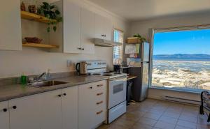 Kuchyň nebo kuchyňský kout v ubytování Chalet #11 Waterfront with Spa, Wifi & AC