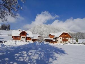 a house covered in snow with a mountain in the background at Grundnerhof in Birnberg
