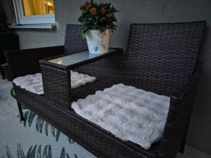 une chaise en osier avec une plante en pot dessus dans l'établissement Modern and idyllic apartment, à Jettingen-Scheppach 17 autres photos