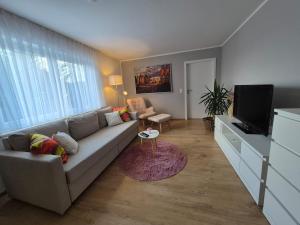 un salon avec un canapé et une télévision à écran plat dans l'établissement Modern and idyllic apartment, à Jettingen-Scheppach