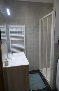 a bathroom with a sink and a shower at À La Croisée Des Châteaux 3étoiles in Ouchamps