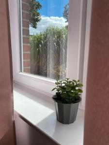 Fotografie z fotogalerie ubytování Himmelpforten Loft v destinaci Himmelpforten