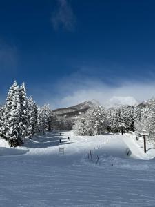 雪之宿 om vinteren