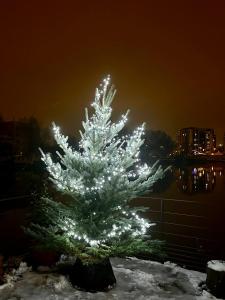 One of the kind Prague Houseboat Experience +BOAT في براغ: شجرة عيد الميلاد عليها انوار في الثلج +21 صورة