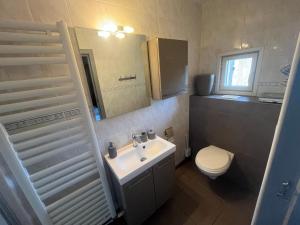 een badkamer met een wastafel, een toilet en een spiegel bij La Vigne in Pelissous