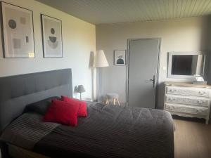 een slaapkamer met een bed met rode kussens en een televisie bij La Vigne in Pelissous