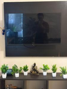a television hanging on a wall with potted plants on a table at Da Nest in Guwahati