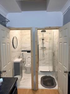 a bathroom with a shower and a toilet at Warn Cossy Luxe Room in Addington