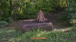 uma pilha de gravetos na grama em Chale Rural em Nova Lima com Vista para o Jardim em Macacos