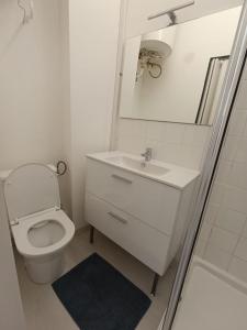 a bathroom with a toilet and a sink and a mirror at Studio lumineux Avignon centre, proche de tout in Avignon +13 photos