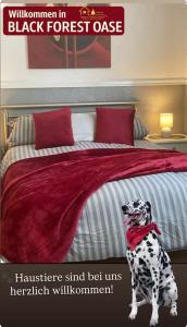 Postel nebo postele na pokoji v ubytování Black Forest Oase + 21 fotografií