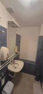 Un baño con lavabo, inodoro y espejo. en Одмориште Ноћко, en Valjevo