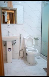 a white bathroom with a toilet and a sink at 1 Bedroom - BFA Luxury Apartment Alagbaka Akure in Mama