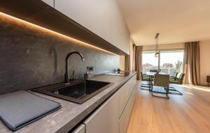 Gorgeous Home In Zaton في زاتون: مطبخ مع حوض وطاولة عمل