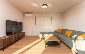 Gorgeous Home In Zaton في زاتون: غرفة معيشة مع أريكة وتلفزيون بشاشة مسطحة