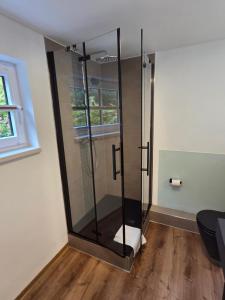 eine Dusche mit Glastür in einem Zimmer in der Unterkunft Ferienwohnung Brama in Reinhardshagen + 12 Fotos