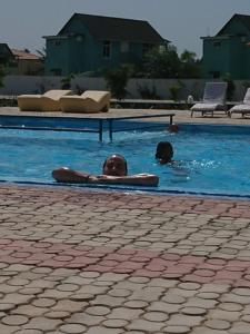 Sand Beach Holiday Resort في سيريكوندا: رجل وكلب يسبحون في مسبح