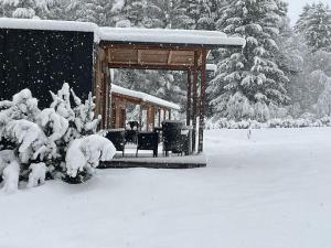 布莱堡Petzen Cottages - Petzen Chalets的公园内雪覆盖的凉亭