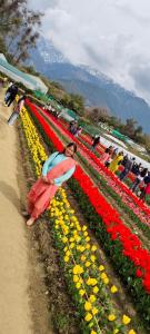 Naturlandskabet i nærheden af campingpladsen