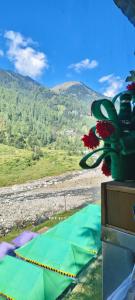 Naturlandskabet i nærheden af campingpladsen + 5 billeder