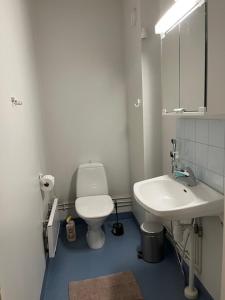 Koupelna v ubytování Kotimaailma - Tilava saunallinen kolmio Salossa + 7 fotografií