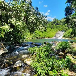 Naturlandskabet i nærheden af chaletet