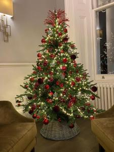 Fotografie z fotogalerie ubytování 54 Queen's Gate Hotel v Londýně