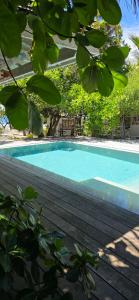 Swimmingpoolen hos eller tæt på Cottage Te Hono Vai