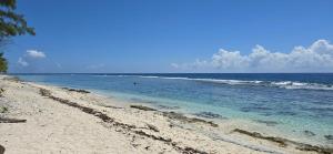 Naturlandskabet i nærheden af feriehuset