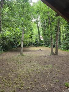 a group of trees in a park with a yard at Casa alameda in Mar de Cobo