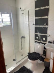 Ένα μπάνιο στο Apartment in the heart of Santiago +7 φωτογραφίες