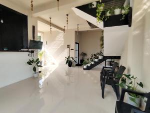 a living room with chairs and plants on the walls at One Love in Weligama
