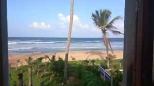 vistas a una playa con palmeras y al océano en Pelpatha, en Balapitiya